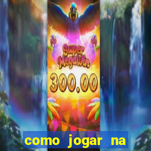 como jogar na lotinha do jogo do bicho